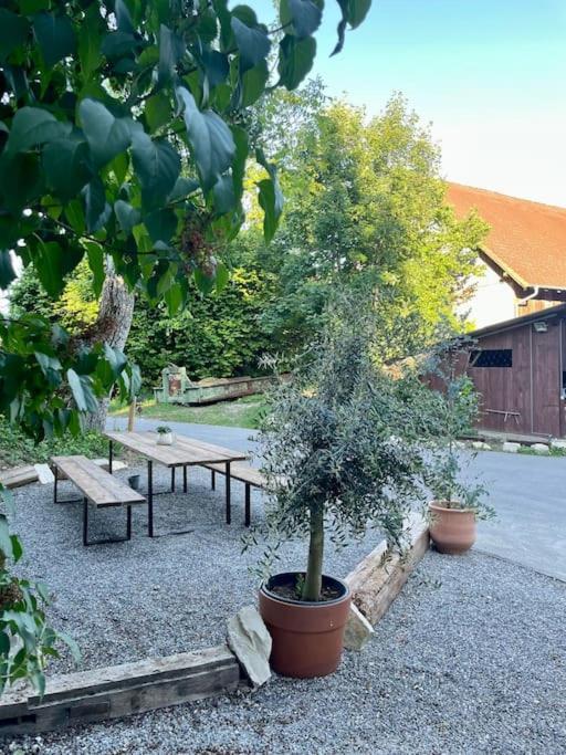 Zauberhafte Ferienscheune Im Hofgut Alte Oelmuehle Engen Buitenkant foto